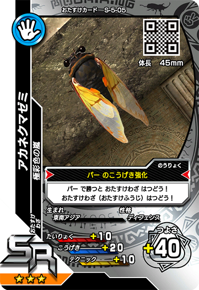 アカネクマゼミ（S-5-05）［SR］