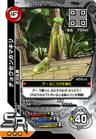 チョウセンカマキリ（S-5-06）［SR］