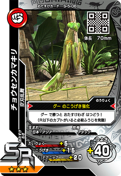 チョウセンカマキリ（S-5-06）［SR］