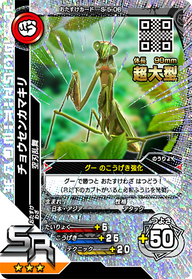 チョウセンカマキリ（S-5-06）［SR］