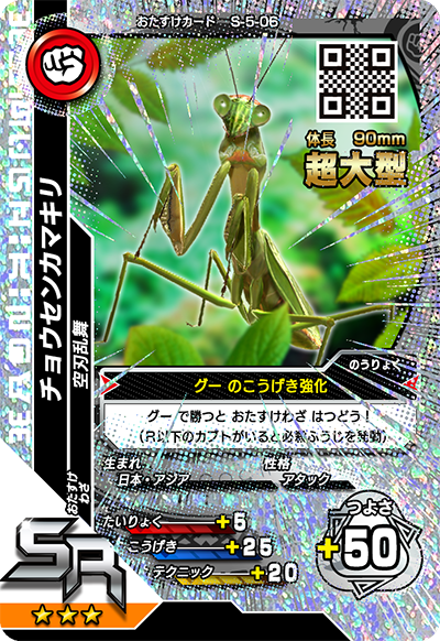 チョウセンカマキリ（S-5-06）［SR］