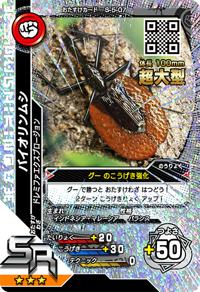 バイオリンムシ（S-5-07）［SR］
