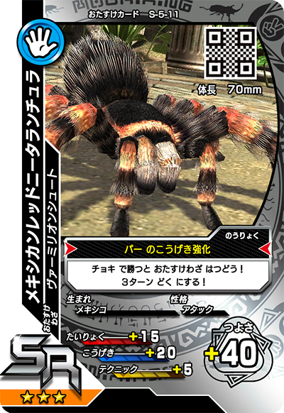 メキシカンレッドニータランチュラ（S-5-11）［SR］