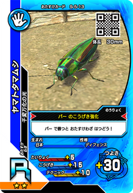 ヤマトタマムシ（S-5-13）［R］