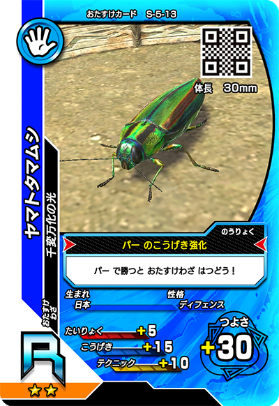 ヤマトタマムシ（S-5-13）［R］