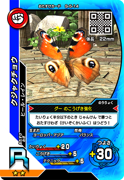 クジャクチョウ（S-5-14）［R］
