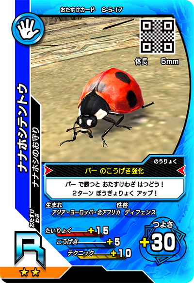 ナナホシテントウ（S-5-17）［R］