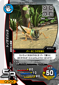 トノサマバッタ（S-G1-04）［SR］