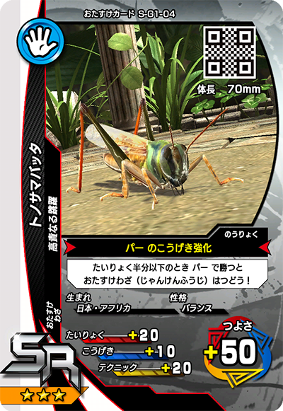 トノサマバッタ（S-G1-04）［SR］