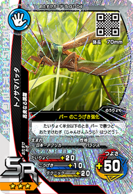 トノサマバッタ（S-G1-04）［SR］