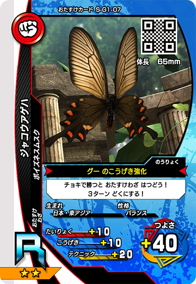ジャコウアゲハ（S-G1-07）［R］