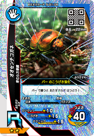 オオセンチコガネ（S-G1-08）［R］