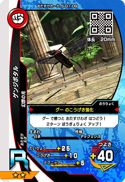 ゲンジボタル（S-G1-09）［R］