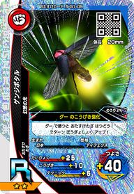ゲンジボタル（S-G1-09）［R］