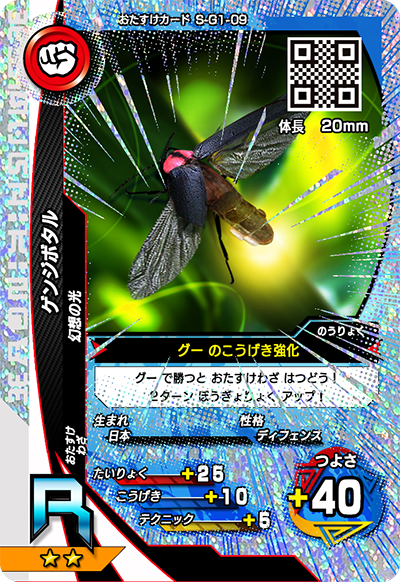 ゲンジボタル（S-G1-09）［R］