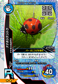 ナナホシテントウ（S-G1-10）［R］