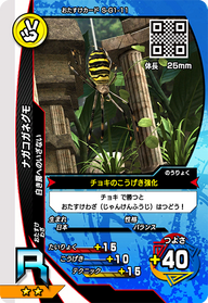 ナガコガネグモ（S-G1-11）［R］