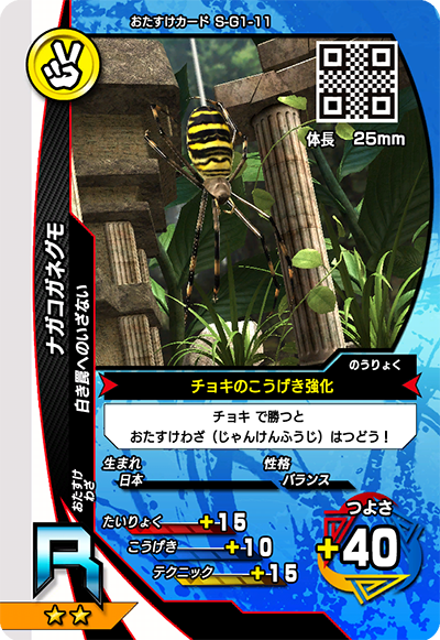 ナガコガネグモ（S-G1-11）［R］