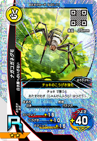 ナガコガネグモ（S-G1-11）［R］