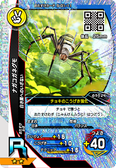 ナガコガネグモ（S-G1-11）［R］