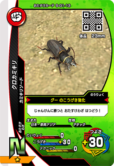 クロカミキリ（S-G1-13）［N］