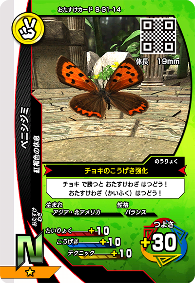 ベニシジミ（S-G1-14）［N］