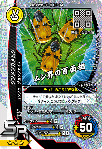ジンメンカメムシ（S-G2-04）［SR］