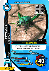 モモブトハムシ（S-G2-07）［R］