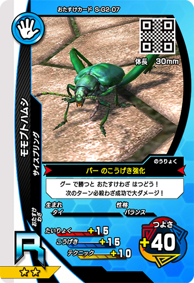 モモブトハムシ（S-G2-07）［R］