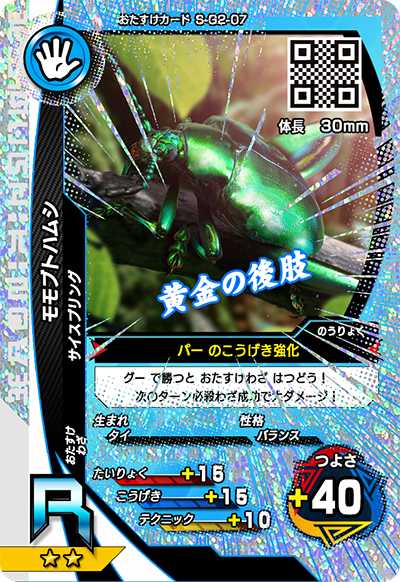 モモブトハムシ（S-G2-07）［R］