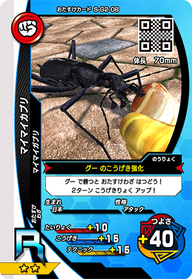 マイマイカブリ（S-G2-08）［R］