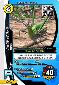 ショウリョウバッタ（S-G2-09）［R］