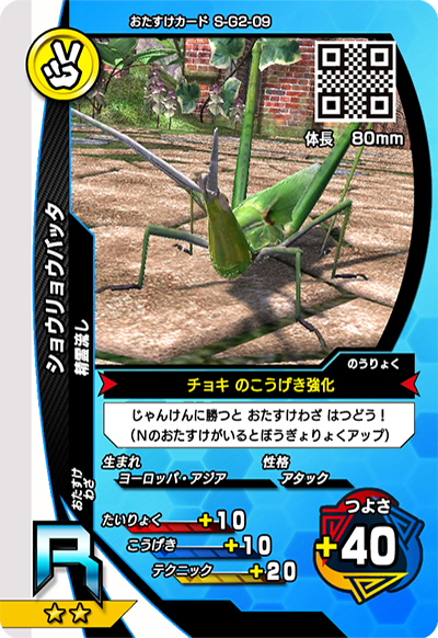 ショウリョウバッタ（S-G2-09）［R］