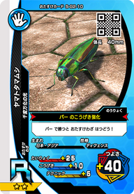 ヤマトタマムシ（S-G2-10）［R］