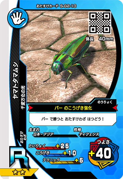 ヤマトタマムシ（S-G2-10）［R］