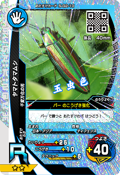 ヤマトタマムシ（S-G2-10）［R］