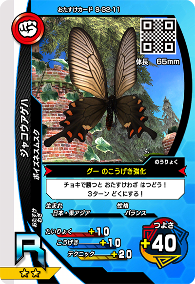 ジャコウアゲハ（S-G2-11）［R］