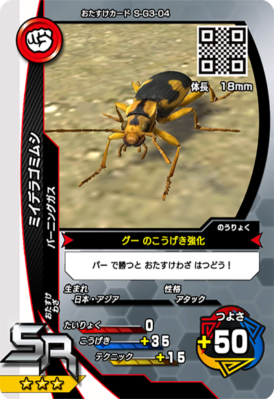 ミイデラゴミムシ（S-G3-04）［SR］