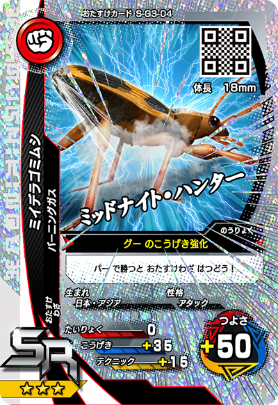 ミイデラゴミムシ（S-G3-04）［SR］