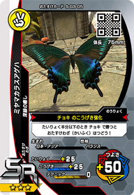 ミヤマカラスアゲハ（S-G3-05）［SR］