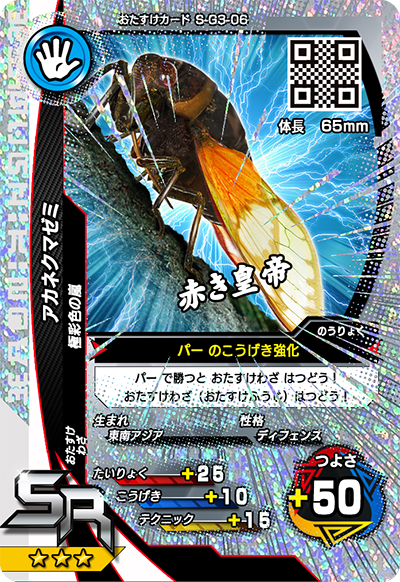 アカネクマゼミ（S-G3-06）［SR］