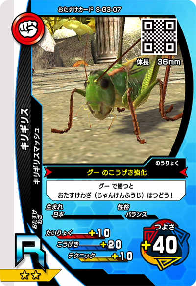 キリギリス（S-G3-07）［R］