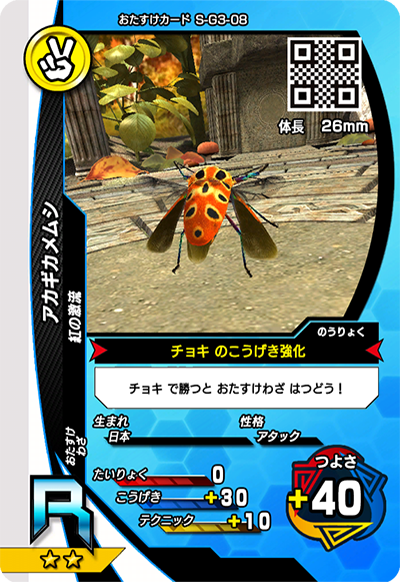 アカギカメムシ（S-G3-08）［R］