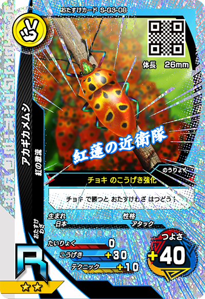 アカギカメムシ（S-G3-08）［R］
