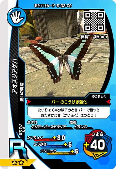 アオスジアゲハ（S-G3-09）［R］