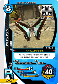 アオスジアゲハ（S-G3-09）［R］