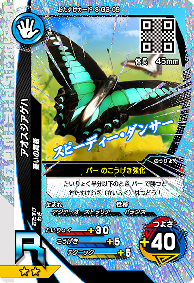 アオスジアゲハ（S-G3-09）［R］