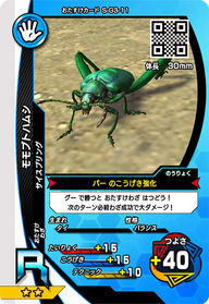 モモブトハムシ（S-G3-11）［R］