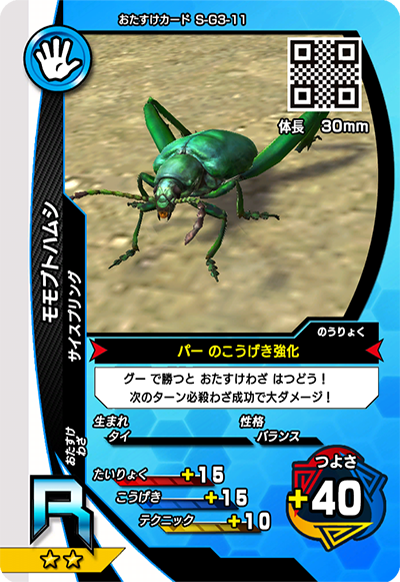 モモブトハムシ（S-G3-11）［R］