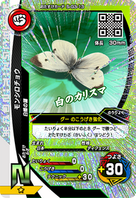 モンシロチョウ（S-G3-13）［N］